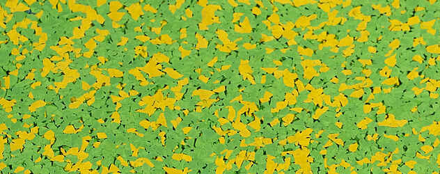 bright yellow/bright green