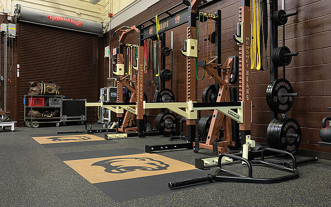 Hershey Bears Hershey Bears