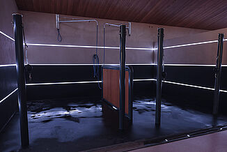 REGUPOL Equestrian Flooring for Wash Bays – Slip-Resistant and Water-Resistant Stable Flooring Solutions Modern horse wash bay with slip-resistant REGUPOL equestrian flooring – water-resistant, shock-absorbing flooring for safe washing and grooming areas in horse stables