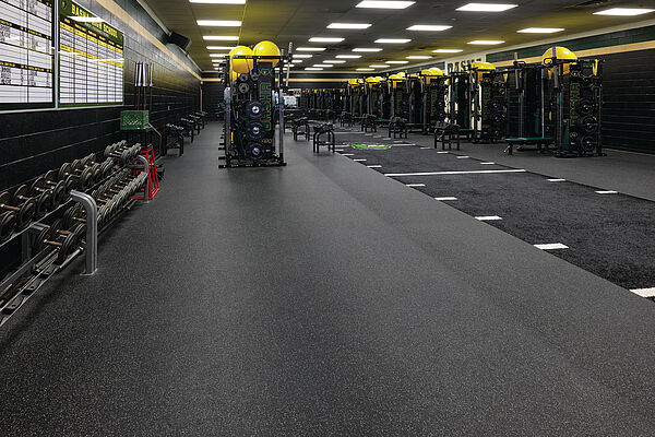 Basha High School Basha High School