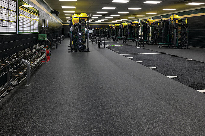 Basha High School