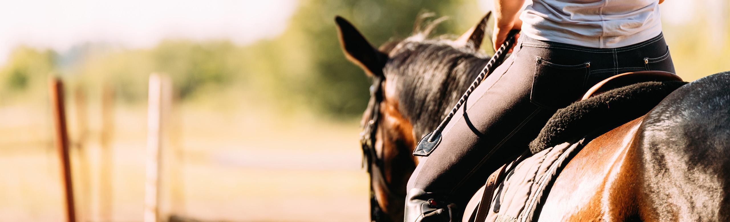 Rider with horse in a horse walker with REGUPOL equiline