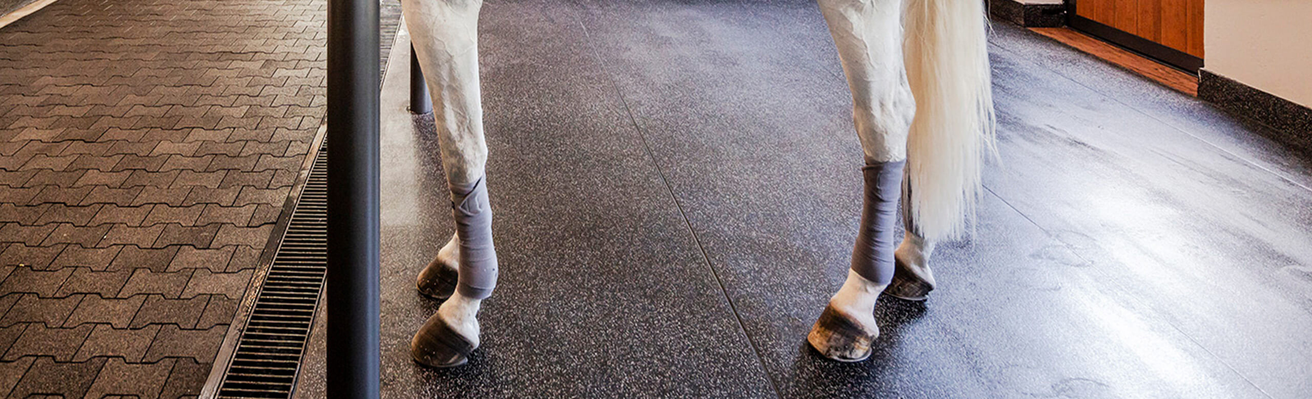 Horse standing in stable on rubber stable mat