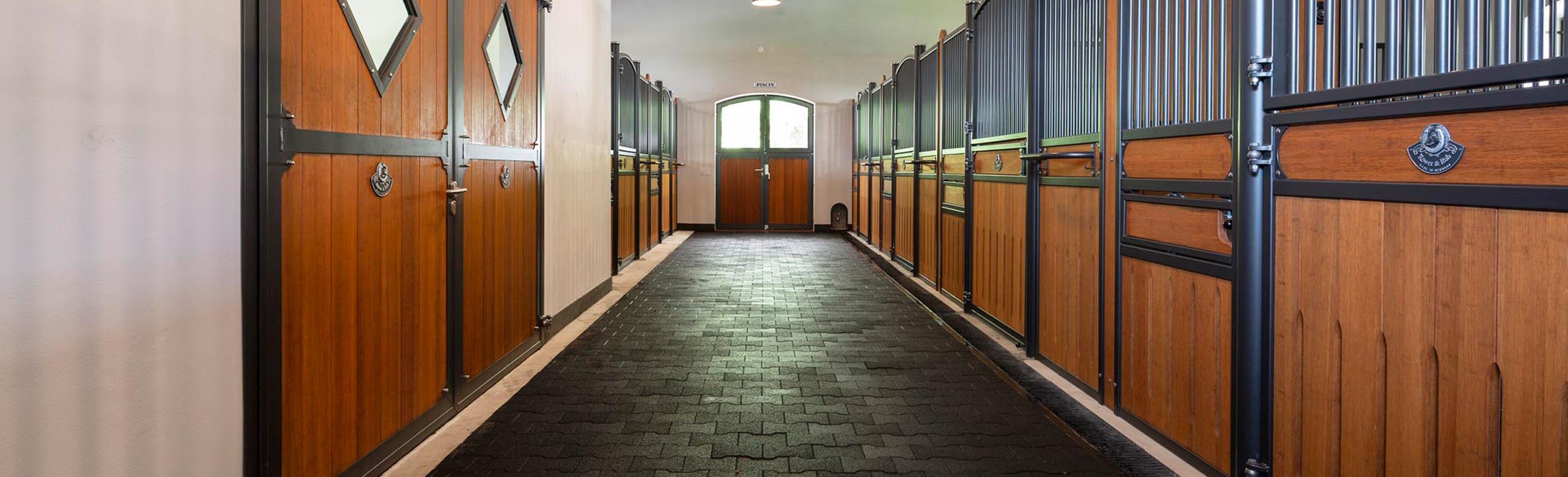 REGUPOL Gummipflaster in der Stallgasse Pferdestall mit Blick in die Stallgasse